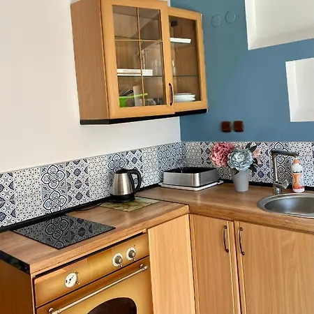 Apartman Alina *